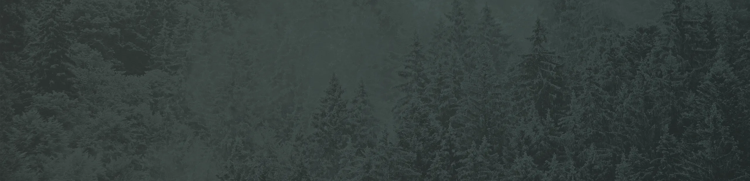 backgroundDesktop.originalTitle.name